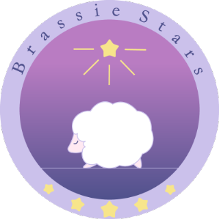 合同会社ブラッシースターズ