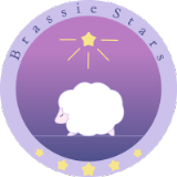 合同会社ブラッシースターズ